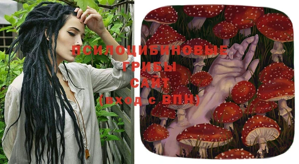 индика Навашино