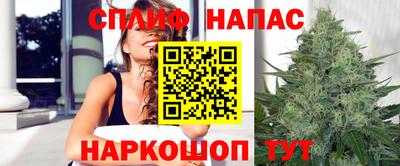 прущие грибы Дубна