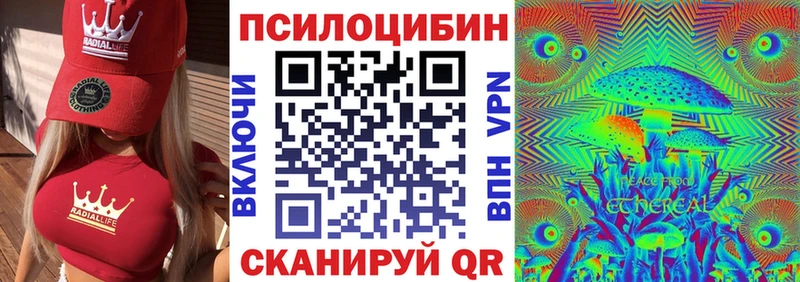 купить  сайты  Железногорск  Псилоцибиновые грибы Magic Shrooms 