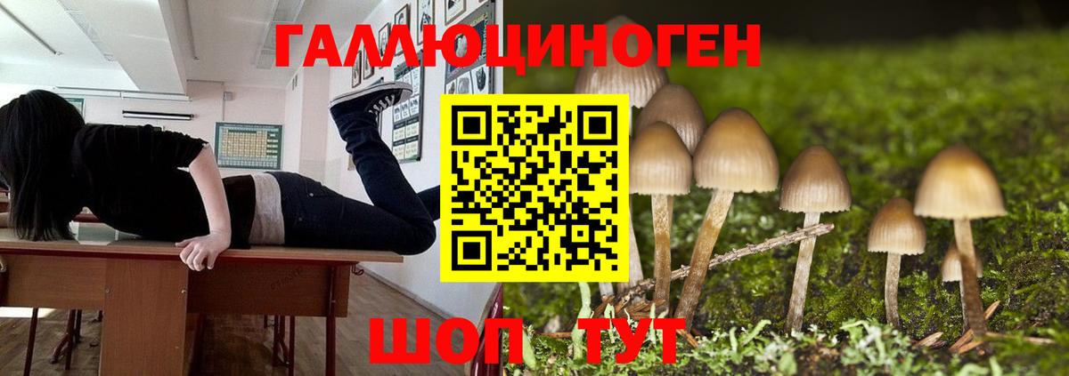 Железногорск  хочу наркоту  Вход с VPN  Галлюциногенные грибы мицелий  Галлюциногенные грибы GOLDEN TEACHER 