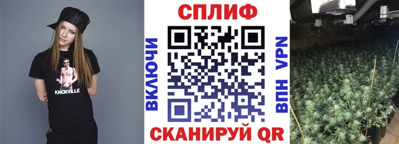 OMG зеркало  Железногорск  Каннабис семена 